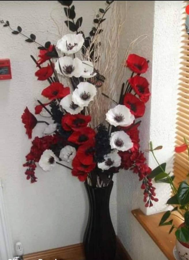 Clare Street B&B Nenagh Εξωτερικό φωτογραφία